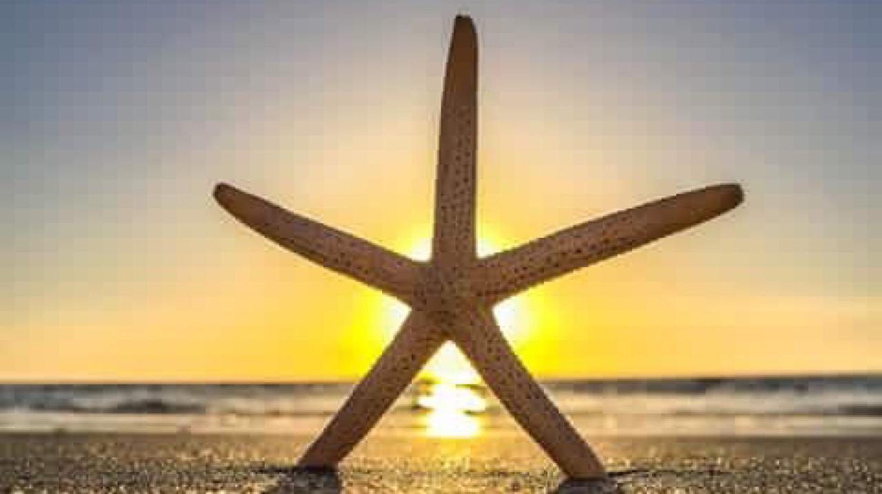 Pag Beachhouse Rentals سانت بيتي بيتش المظهر الخارجي الصورة